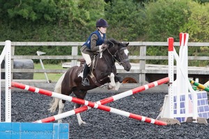 Class 3 -  Fences not above 2'3